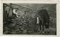Hombre a caballo y dos personas de excursión en Lagunillas, hacia 1947