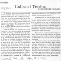 Gallos al trasluz