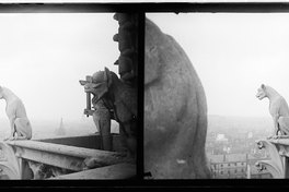 Gárgolas, Notredame, París, Francia, 1908