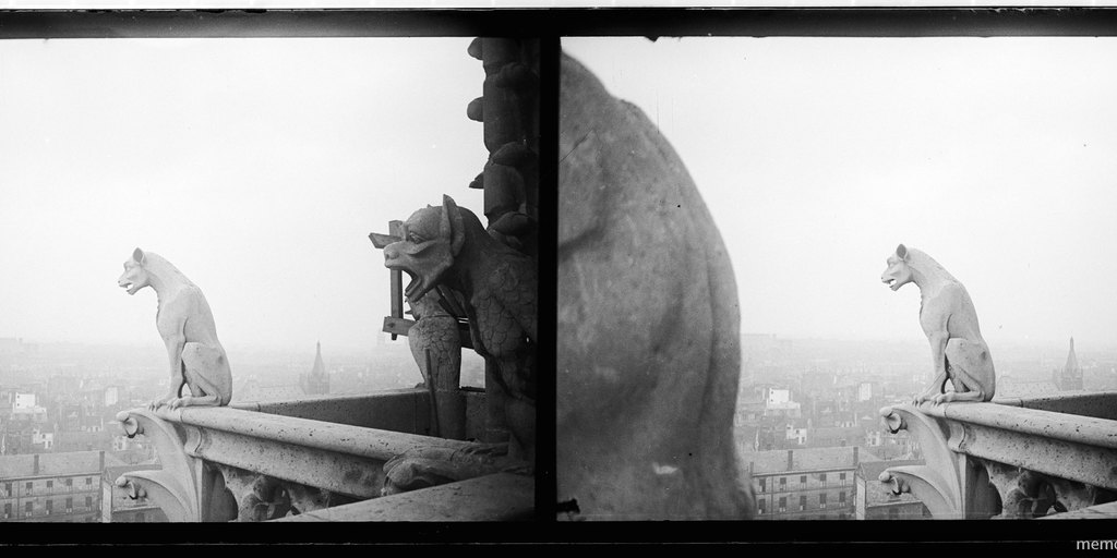 Gárgolas, Notredame, París, Francia, 1908