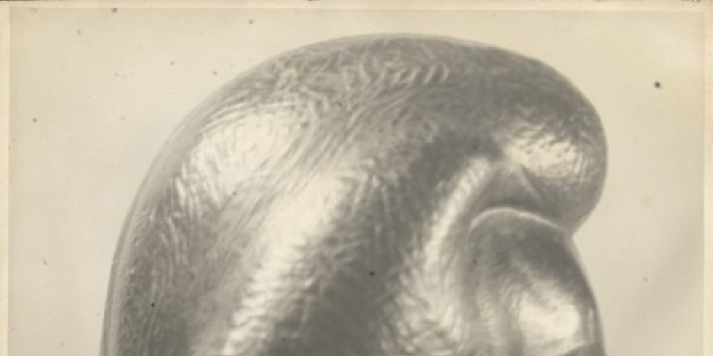 Escultura de Albert Einstein: lateral cabeza