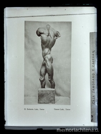 Detalle de torso El bailarín Lotz, 1924