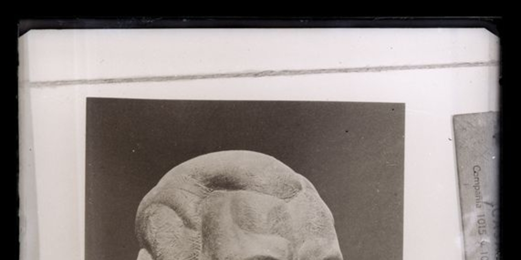 Detalle de busto de Arno Nadel, 1924