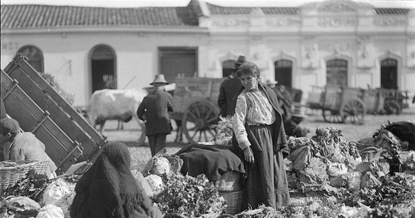 Vendedoras de repollo en la feria