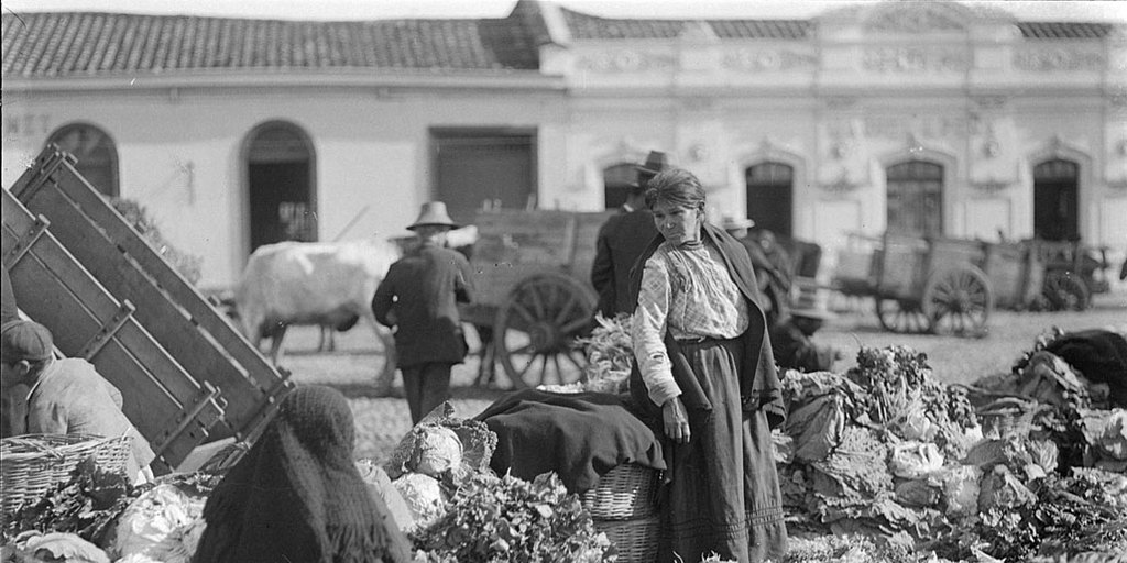 Vendedoras de repollo en la feria