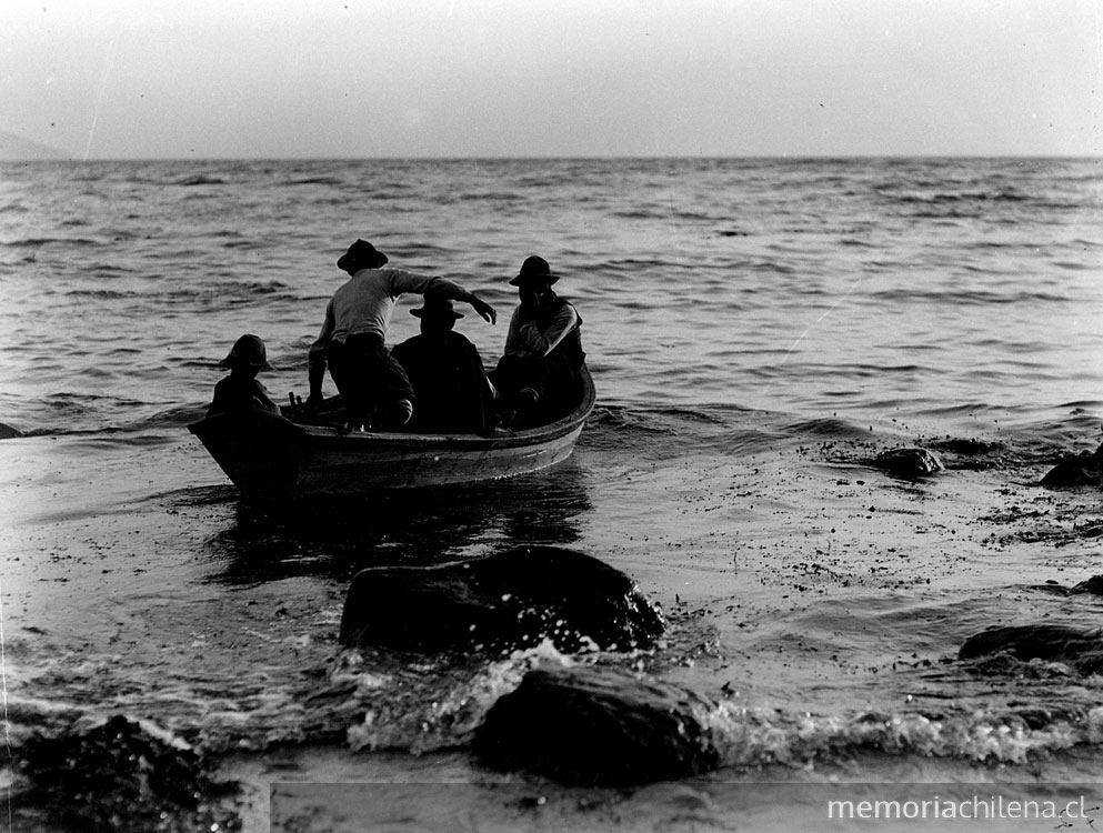 Pescadores zarpan a pescar