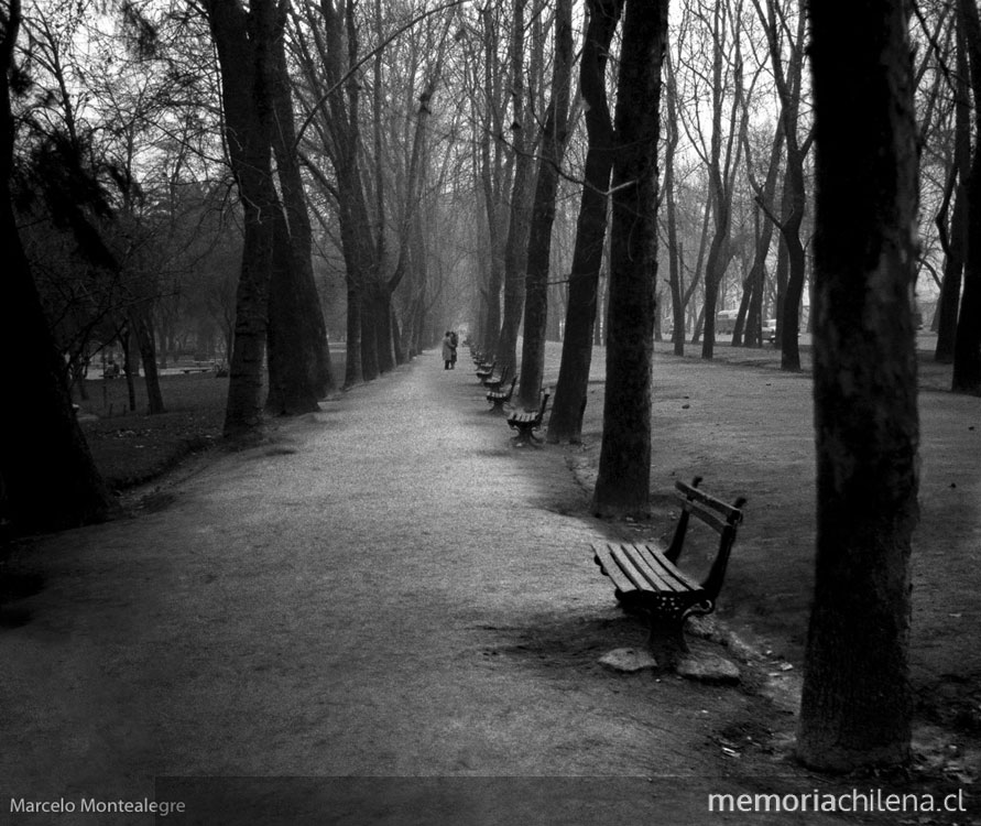 Parque Forestal, 1960