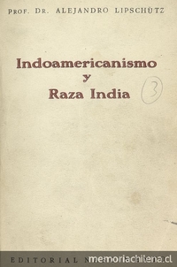 Indoamericanismo y raza india