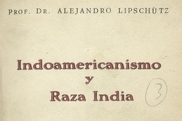 Indoamericanismo y raza india