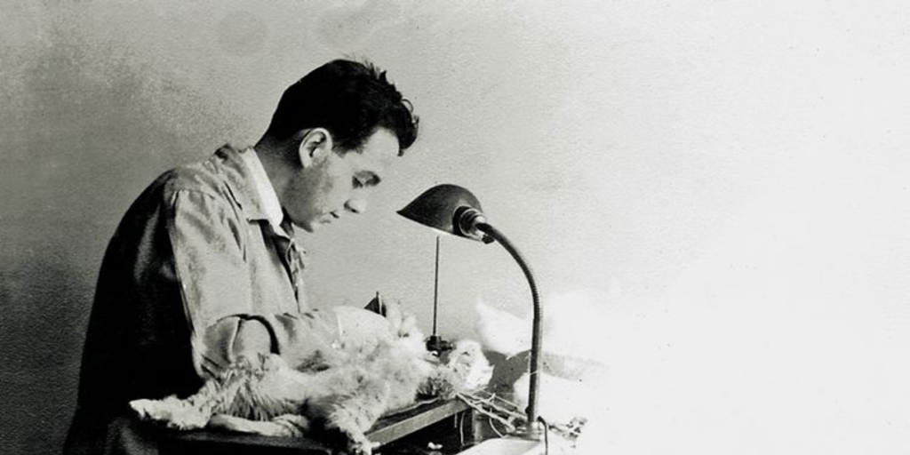 Joaquín Luco haciendo un experimento de fisiología con un gato