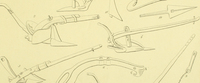 MC0054610_103 MC0054610_103