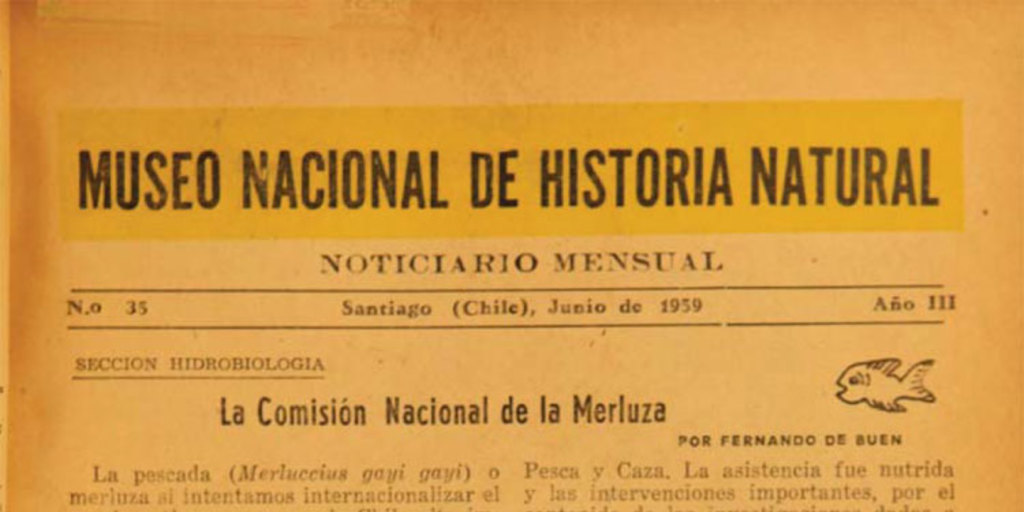 Comunicaciones de la Asociación de Museos de Chile