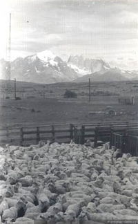 MC0027522 MC0027522