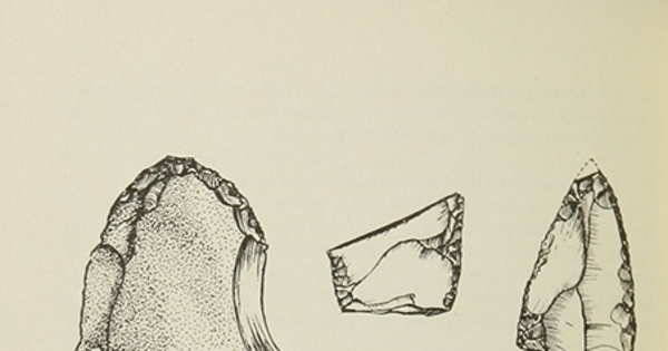 Industria lítica de cueva Los Toldos. Toldense temprano (10.650 a.C.)Orígenes de la comunidad primitiva en Patagonia, México, Ediciones Cuicuilco, 1982.