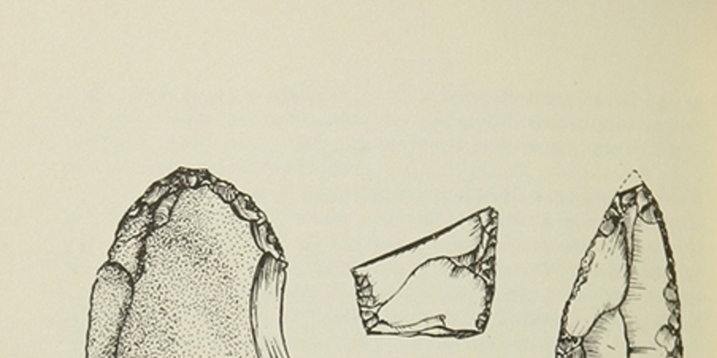 Industria lítica de cueva Los Toldos. Toldense temprano (10.650 a.C.)Orígenes de la comunidad primitiva en Patagonia, México, Ediciones Cuicuilco, 1982.