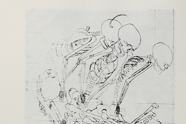 Dibujo de planta de Tumba 2, refugio 5, de Cañadón Leona.Viajes y arqueología en Chile austral. Ediciones de la Universidad de Magallanes, Punta Arenas. 1988.