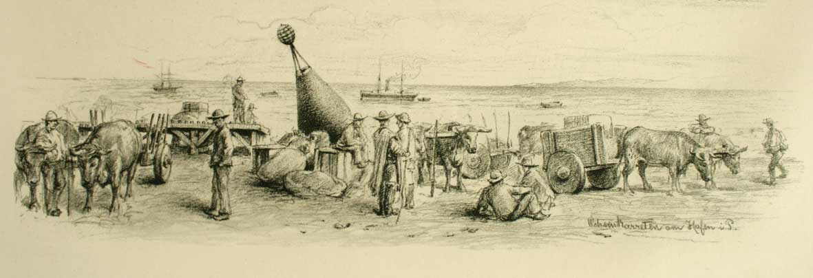 Carretas tiradas por bueyes en la costanera de Punta Arenas, 1884