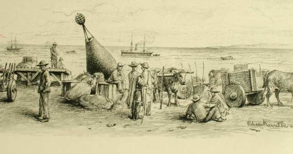 Carretas tiradas por bueyes en la costanera de Punta Arenas, 1884