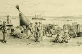 Carretas tiradas por bueyes en la costanera de Punta Arenas, 1884