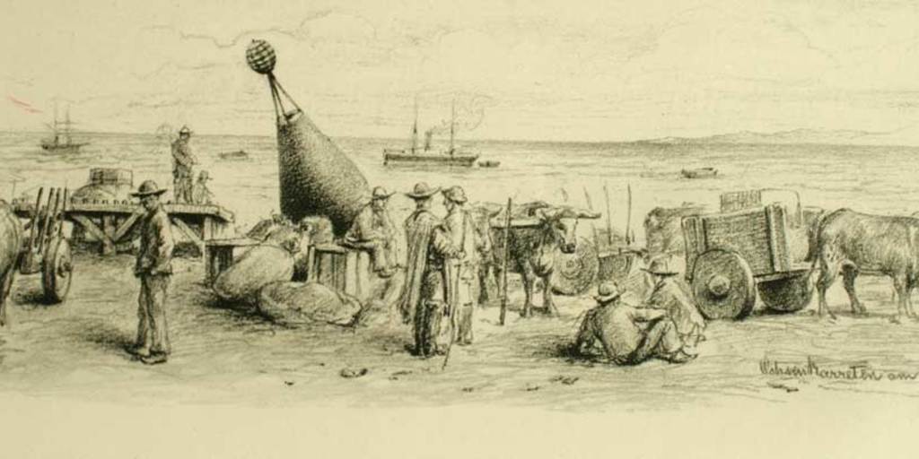 Carretas tiradas por bueyes en la costanera de Punta Arenas, 1884