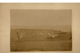 Construcción del viaducto de Malleco [fotografía].