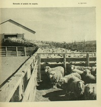 Entrando al galpón de Esquila