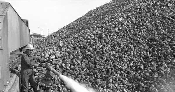 Iansa (Chile) : Planta Cocharcas, hacia 1960. Fotografía de Luis Ladrón de Guevara.