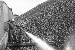 Iansa (Chile) : Planta Cocharcas, hacia 1960. Fotografía de Luis Ladrón de Guevara.