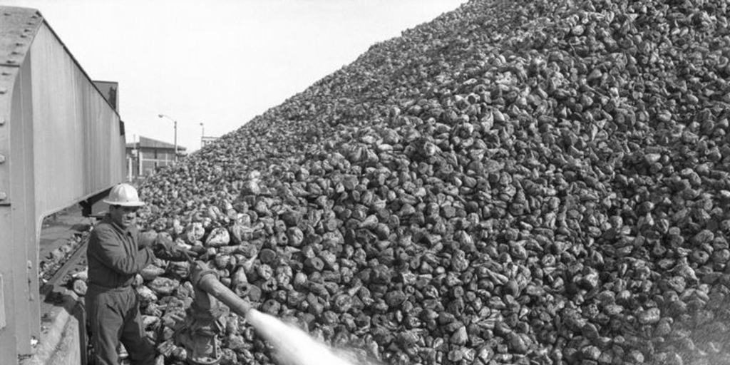 Iansa (Chile) : Planta Cocharcas, hacia 1960. Fotografía de Luis Ladrón de Guevara.