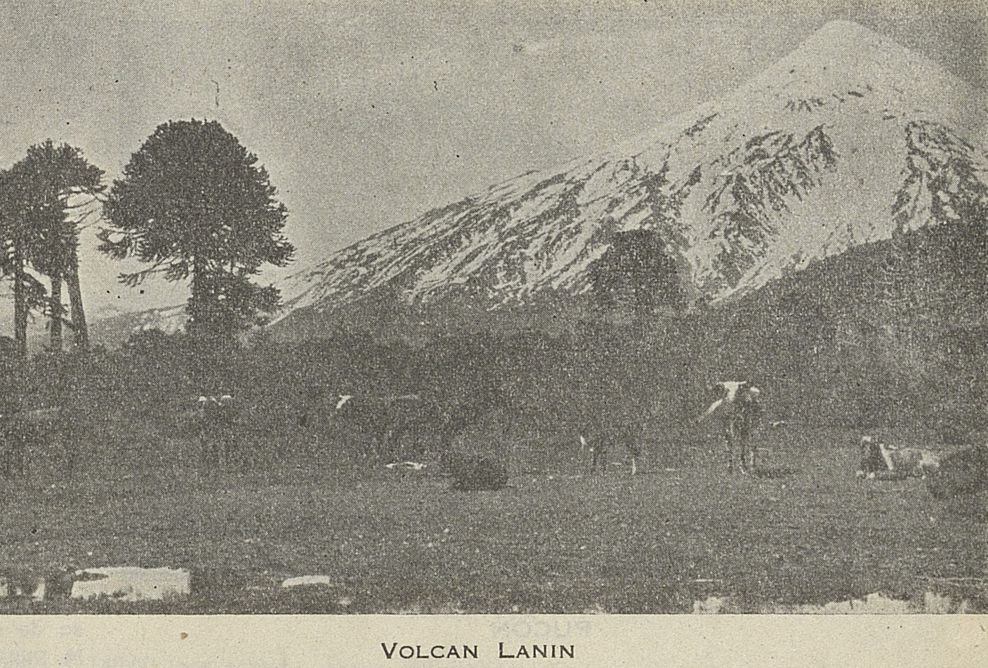 Volcán Lanín