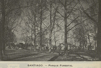 Parque Forestal