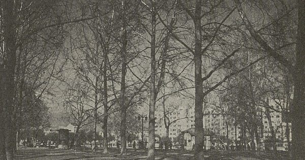 Parque Forestal