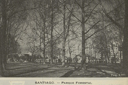 Parque Forestal