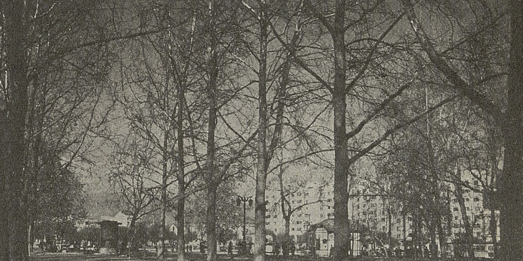 Parque Forestal