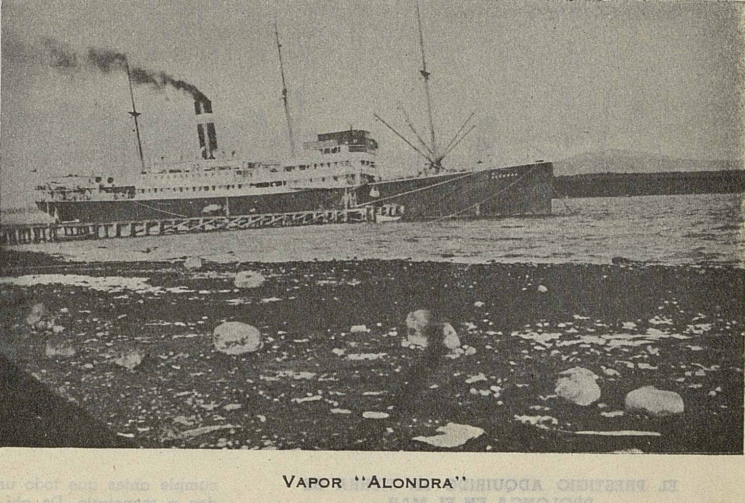 Vapor Alondra