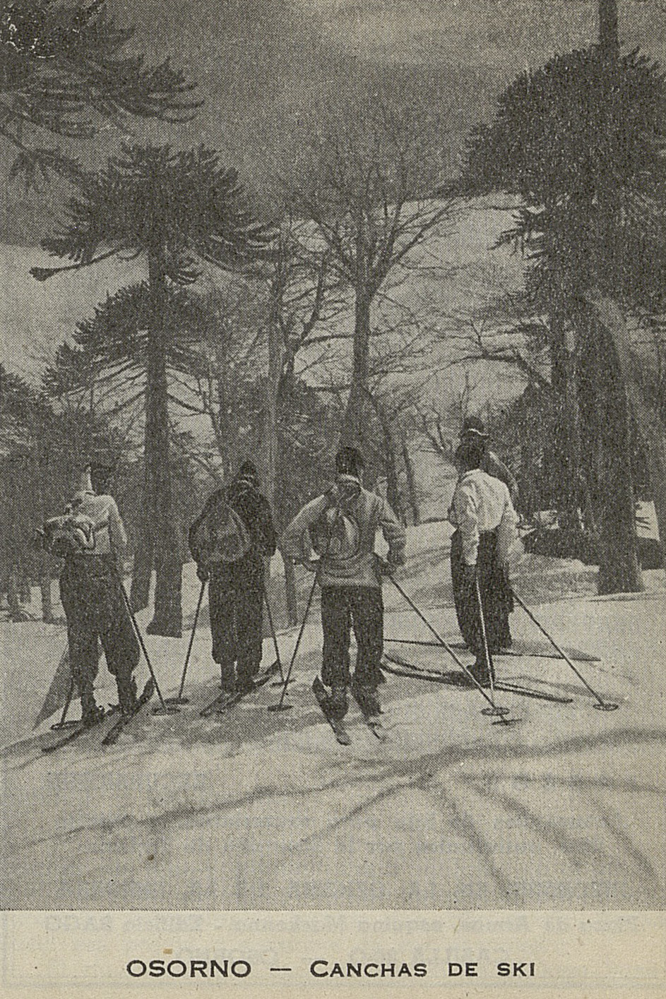 Canchas de Esquí, Osorno