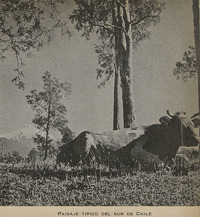 “Paisaje típico del sur de Chile”