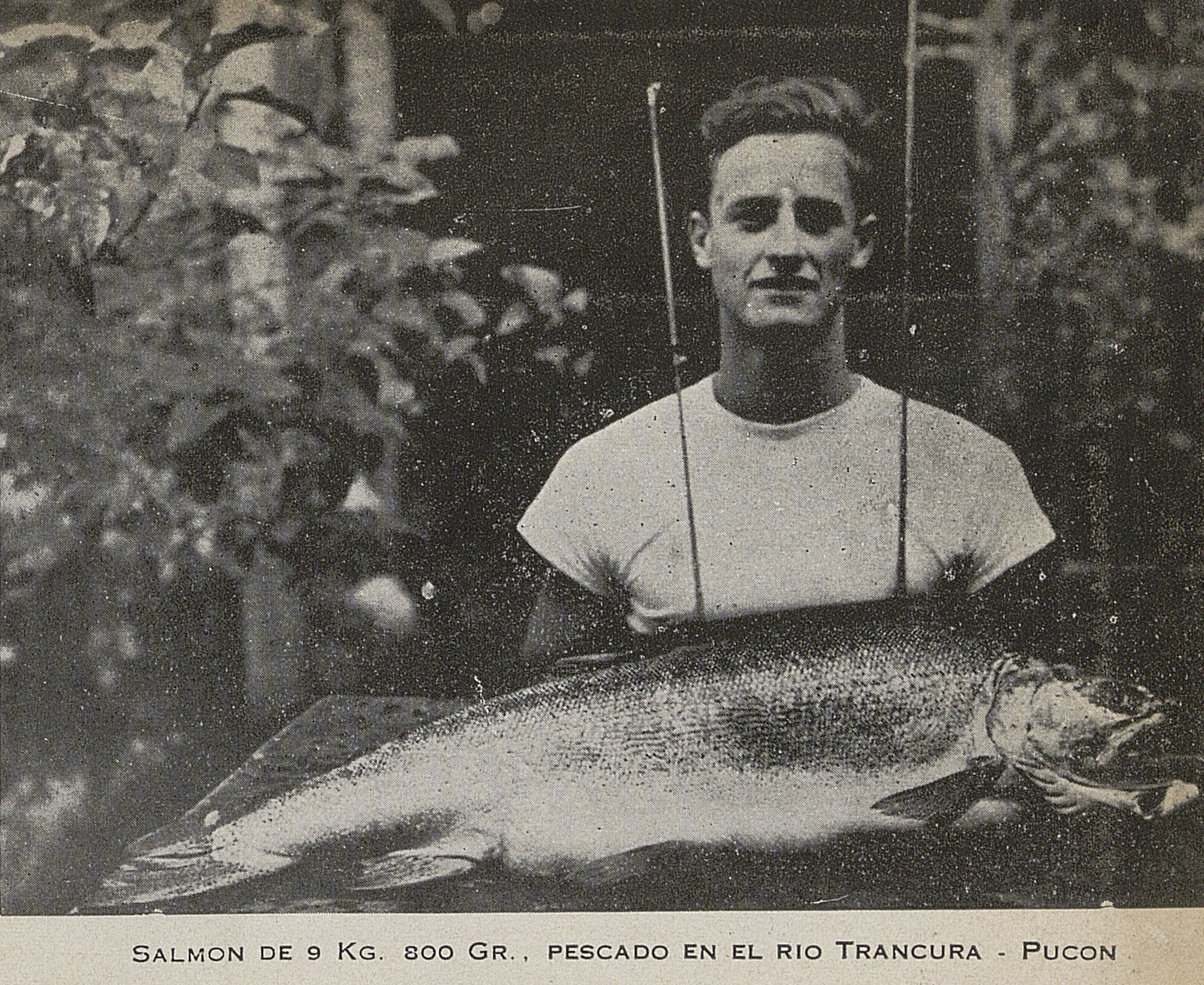 Pesca de salmón en el Río Trancura, Pucón