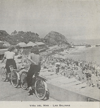 Playa Las Salinas, Viña del Mar