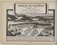 Publicidad de Termas de Puyehue