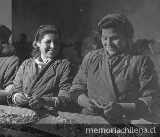 Pie de foto: Mujeres en la limpieza de mariscos hacia 1950.