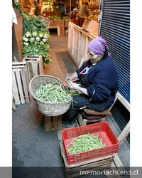 Pie de foto: Mujer preparando ensaladas en la Vega Central, 2005.