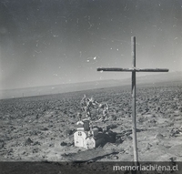 Animita en el campo [fotografía]