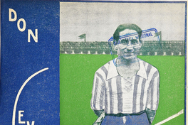 A propósito del profesionalismo