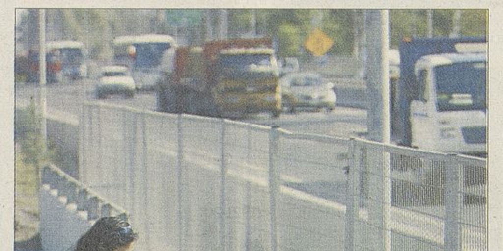 Pie de foto: "Personalización. Con flores y velas, Teresa Zárate y sus sobrinas le han dado un toque propio a la animita que les entregó la Autopista Central".