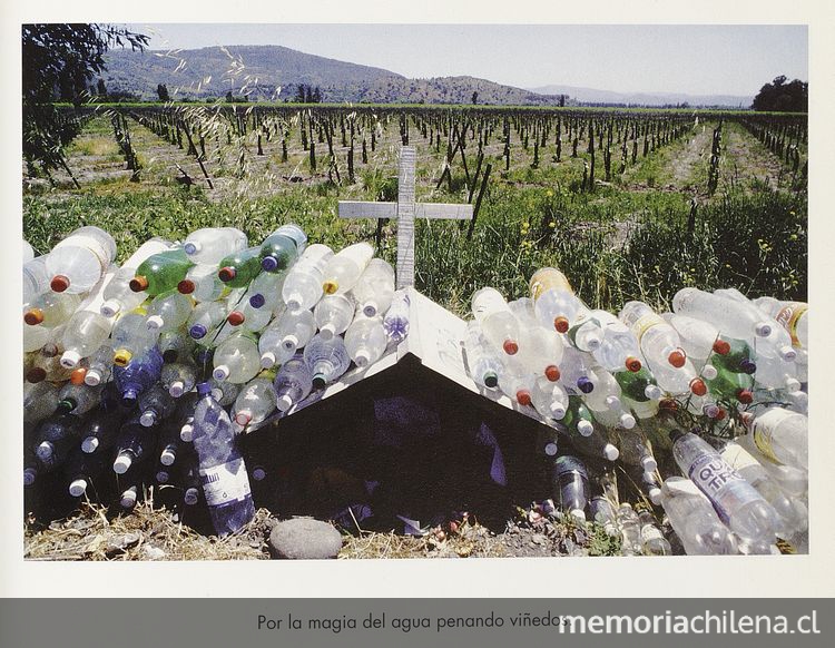 Pie de foto: Sin título. Animita con botellas de agua