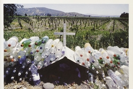 Pie de foto: Sin título. Animita con botellas de agua