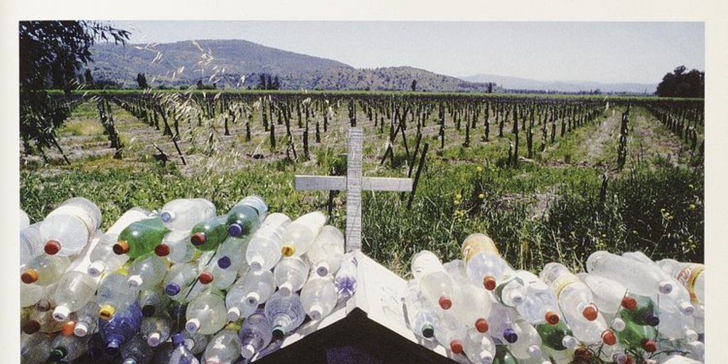 Pie de foto: Sin título. Animita con botellas de agua