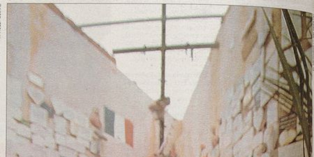 Pie de foto: "Emile Dubois: La animita del delincuente fusilado en 1907 es motivo casi de peregrinación en el cementerio Nº 3"