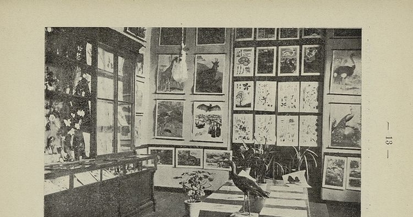 Pie de Foto: Sala de botánica y zoología del Liceo de señoritas "José Miguel Infante", 1913